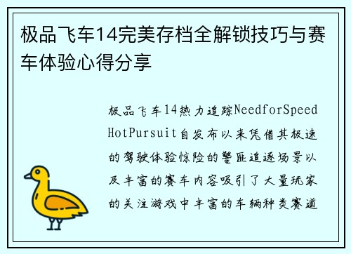 极品飞车14完美存档全解锁技巧与赛车体验心得分享